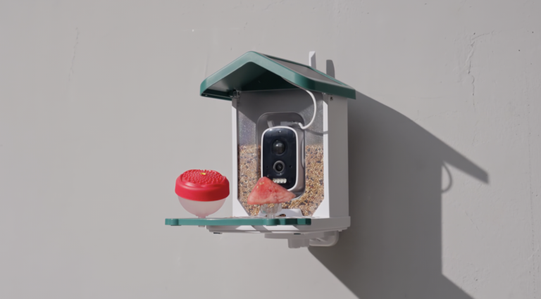 3 Best Bird Feeders of 2025: Attract Wildlife to Your Garden